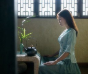 探索生命的奇迹，移植胚胎的条件